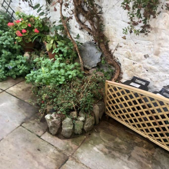 Lyme Clifftop Hideaway Lyme Regis Luaran gambar