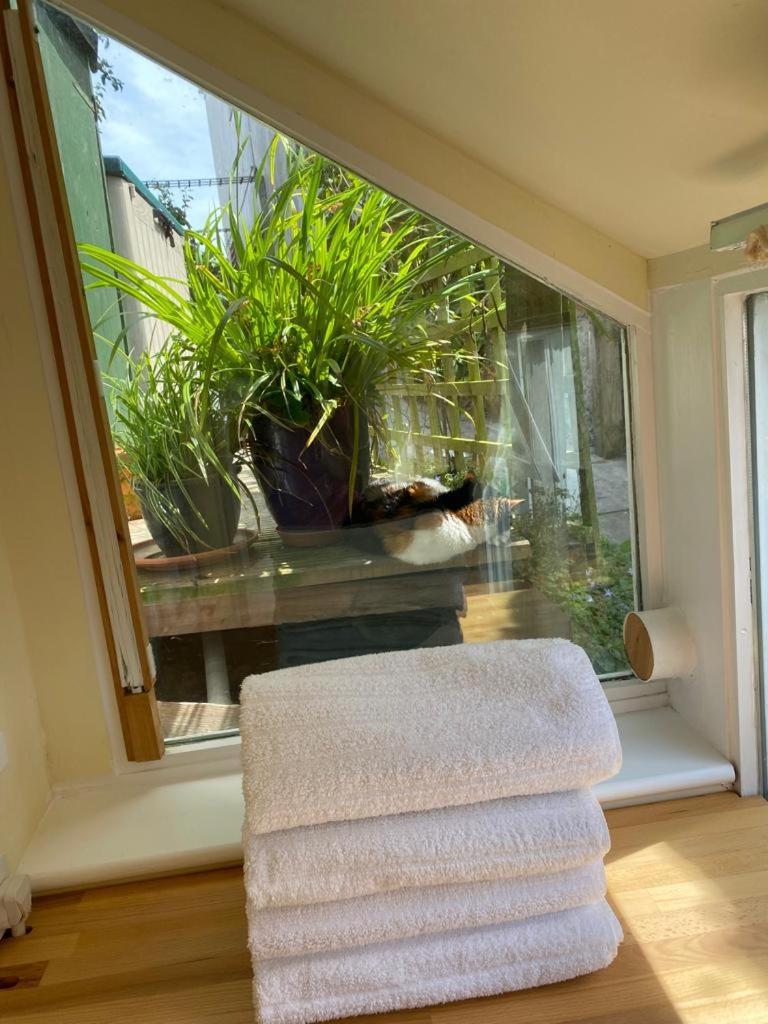 Lyme Clifftop Hideaway Lyme Regis Luaran gambar